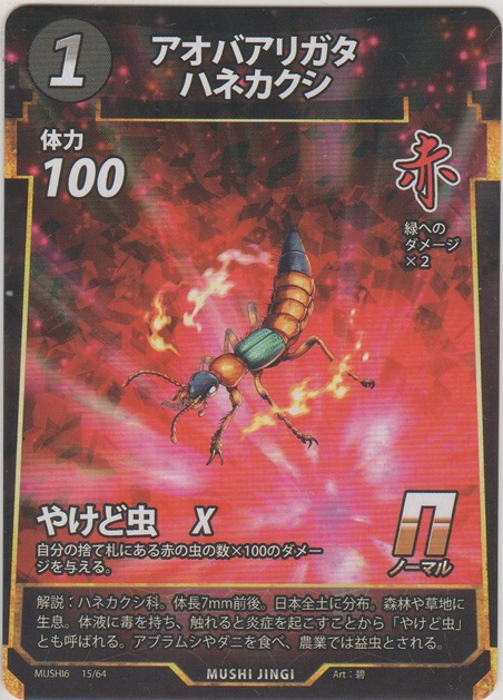 画像1: アオバアリガタハネカクシ