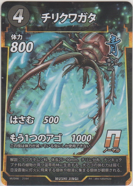 画像1: チリクワガタ