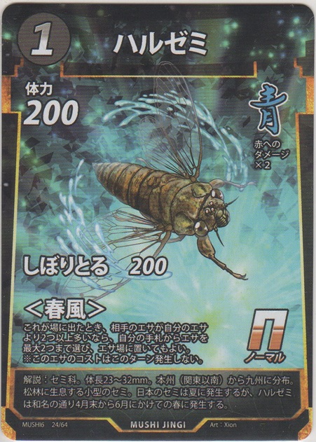 画像1: ハルゼミ