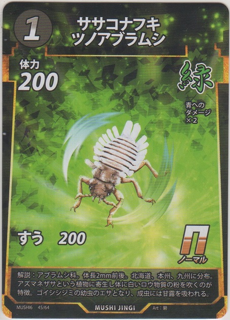 画像1: ササコナフキツノアブラムシ