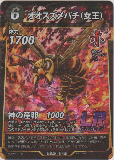 画像1: オオスズメバチ（女王）