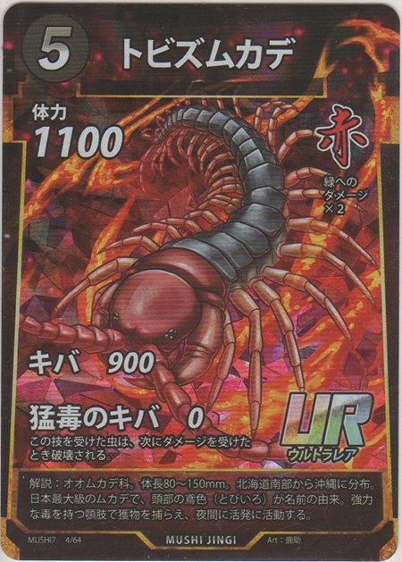 画像1: トビズムカデ