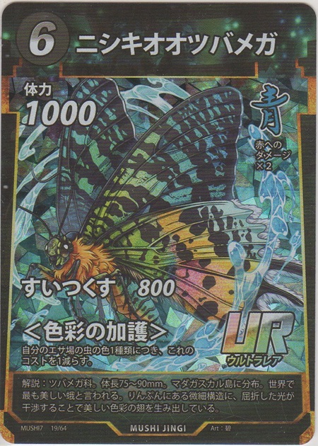 画像1: ニシキオオツバメガ