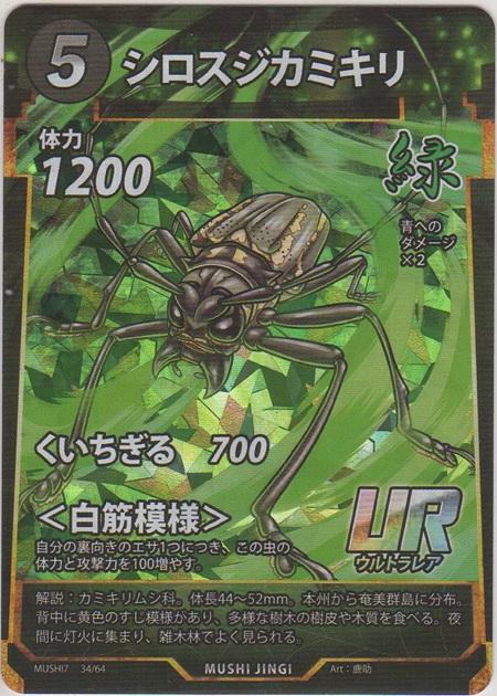 画像1: シロスジカミキリ