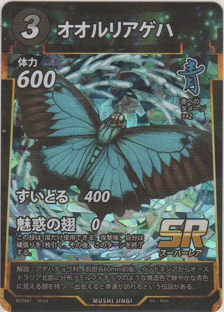 画像1: オオルリアゲハ