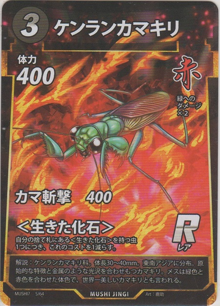 画像1: ケンランカマキリ