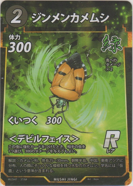 画像1: ジンメンカメムシ