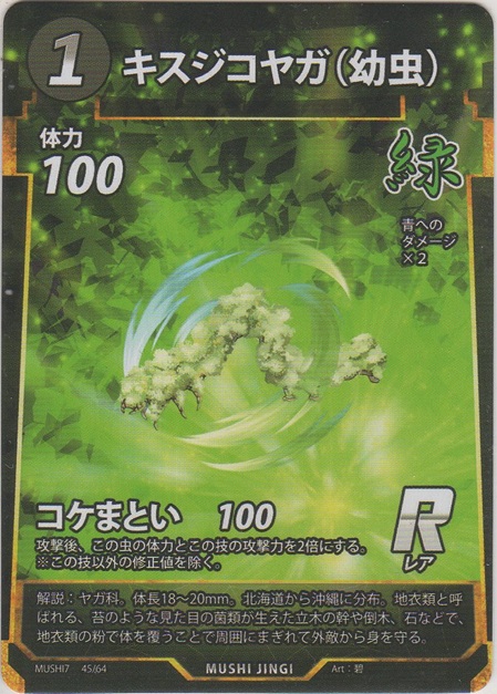 画像1: キスジコヤガ（幼虫）