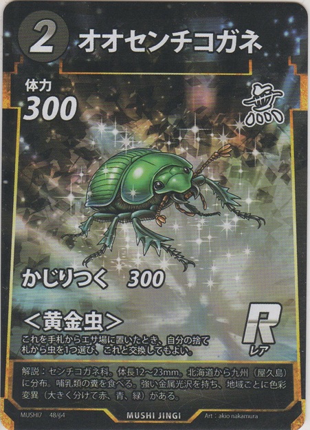 画像1: オオセンチコガネ