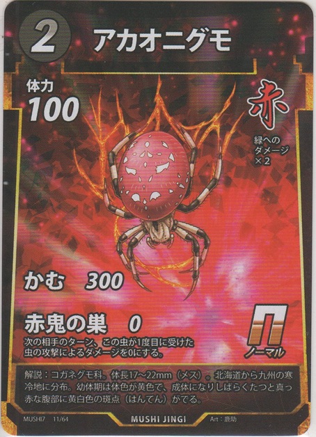 画像1: アカオニグミ