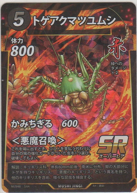 画像1: トゲアクマツユムシ