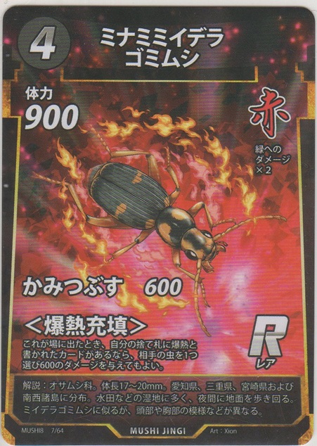 画像1: ミナミミイデラゴミムシ