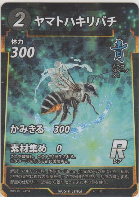 画像1: ヤマトシロアリソルジャーハキリバチ