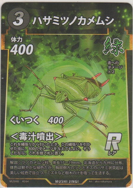 画像1: ハサミツノカメムシ