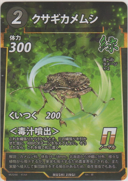 画像1: クサギカメムシ