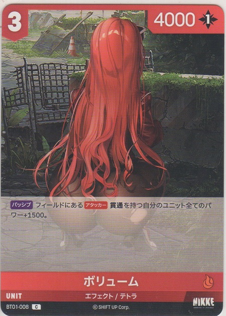 画像1: ボリューム