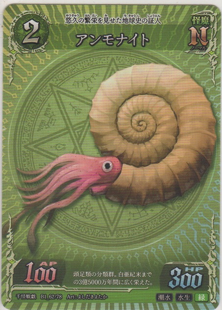 画像1: アンモナイト