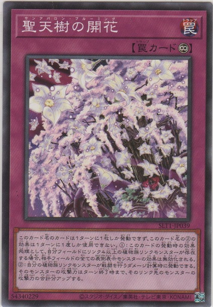 画像1: 聖天樹の開花【ノーマル】