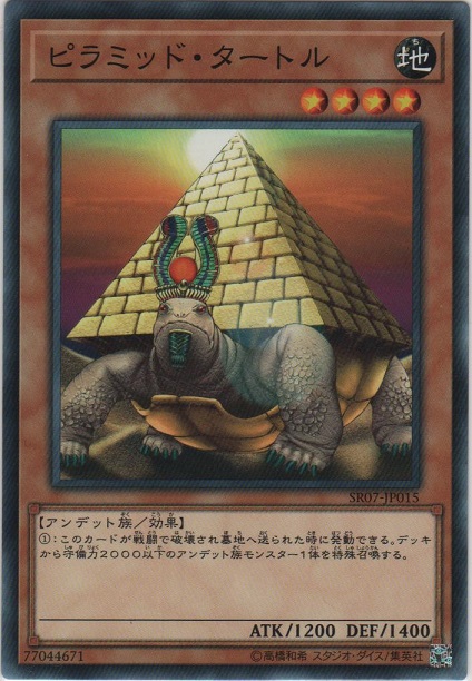 画像1: ピラミッド・タートル【ノーマル】