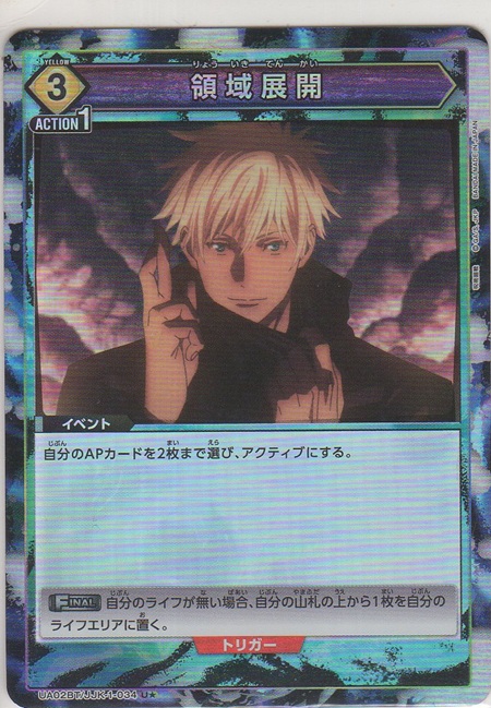 画像1: 領域展開≪パラレル≫