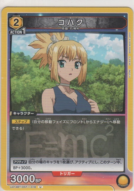 画像1: コハク