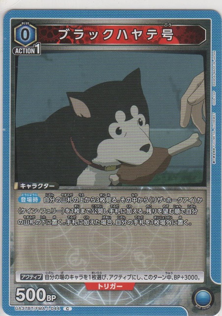画像1: ブラックハヤテ号