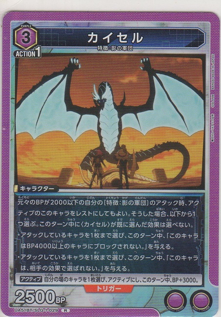 画像1: カイセル