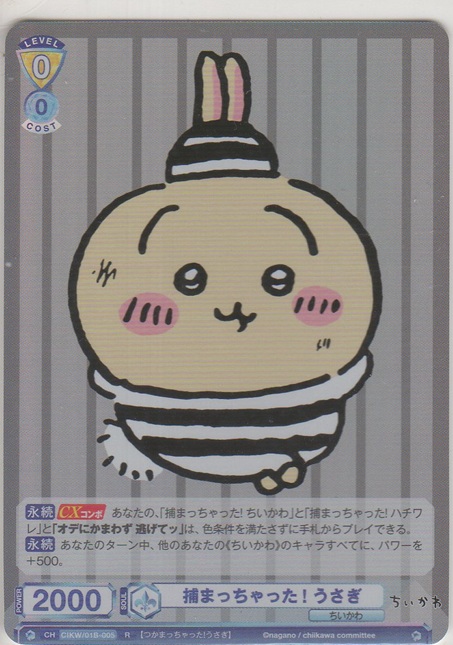 画像1: 捕まっちゃった！ うさぎ