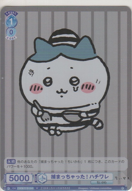 画像1: 捕まっちゃった！ ハチワレ
