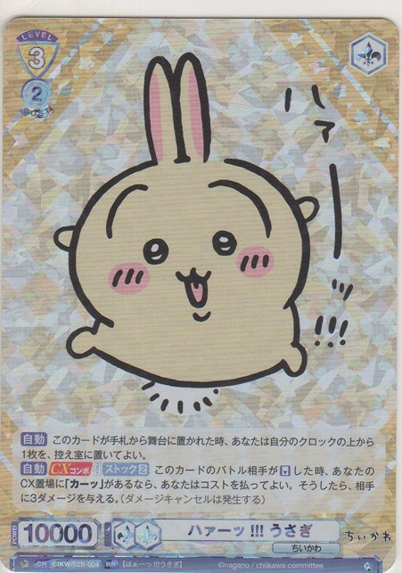 画像1: ハァーッ!!! うさぎ