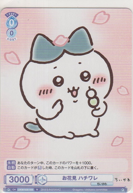 画像1: お花見 ハチワレ